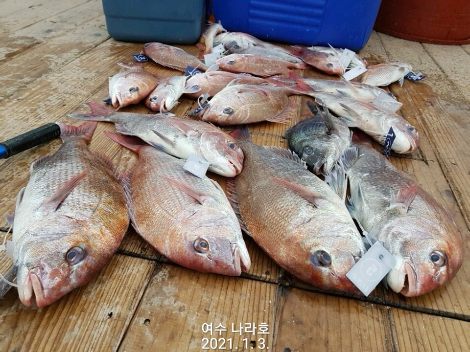 오늘도 여수 이미지