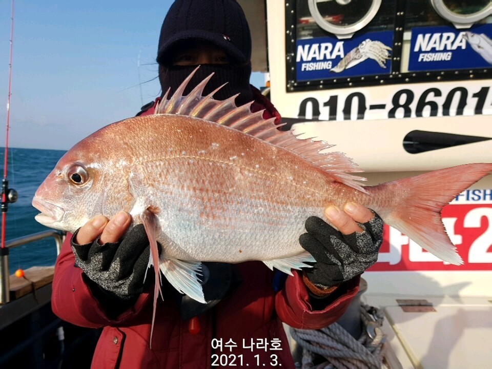 오늘도 여수 이미지