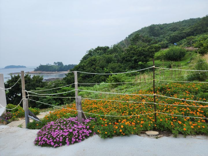 핀아드레 이미지