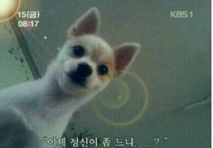 복 이미지