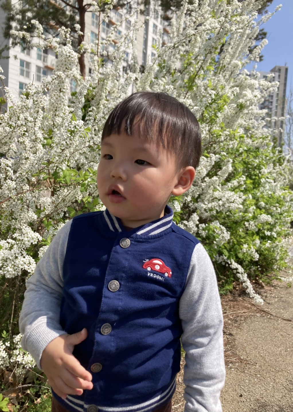 하예라 이미지