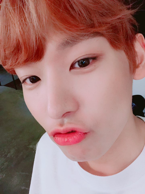 요거 이미지