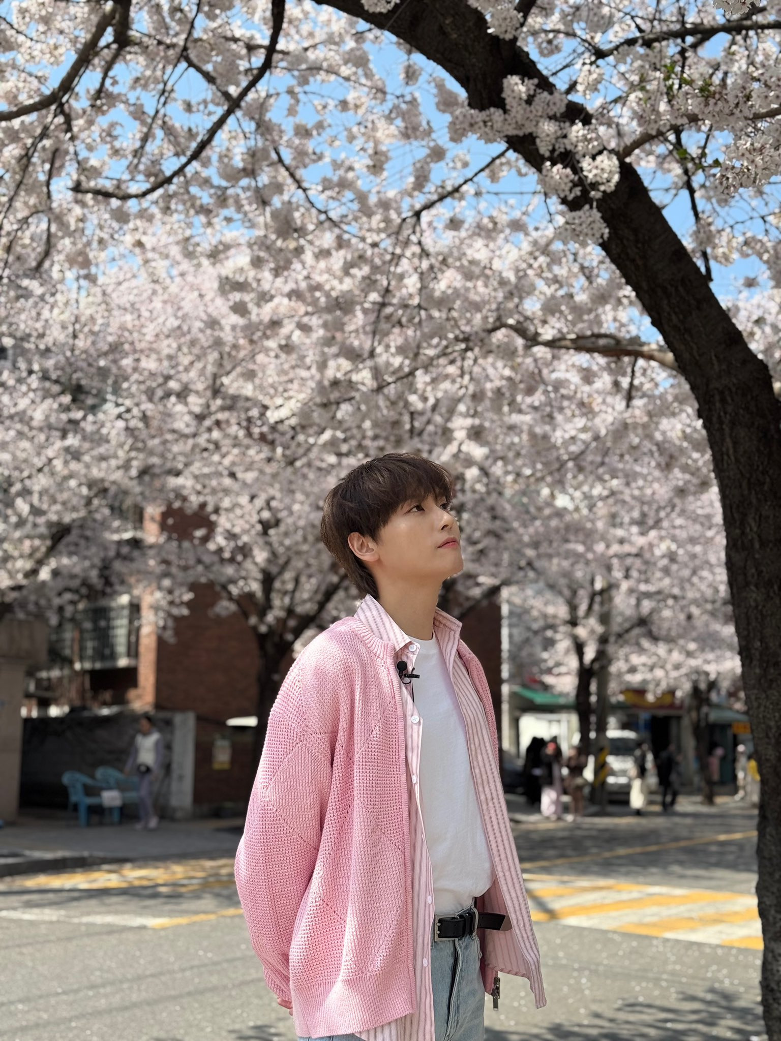 인성 이미지