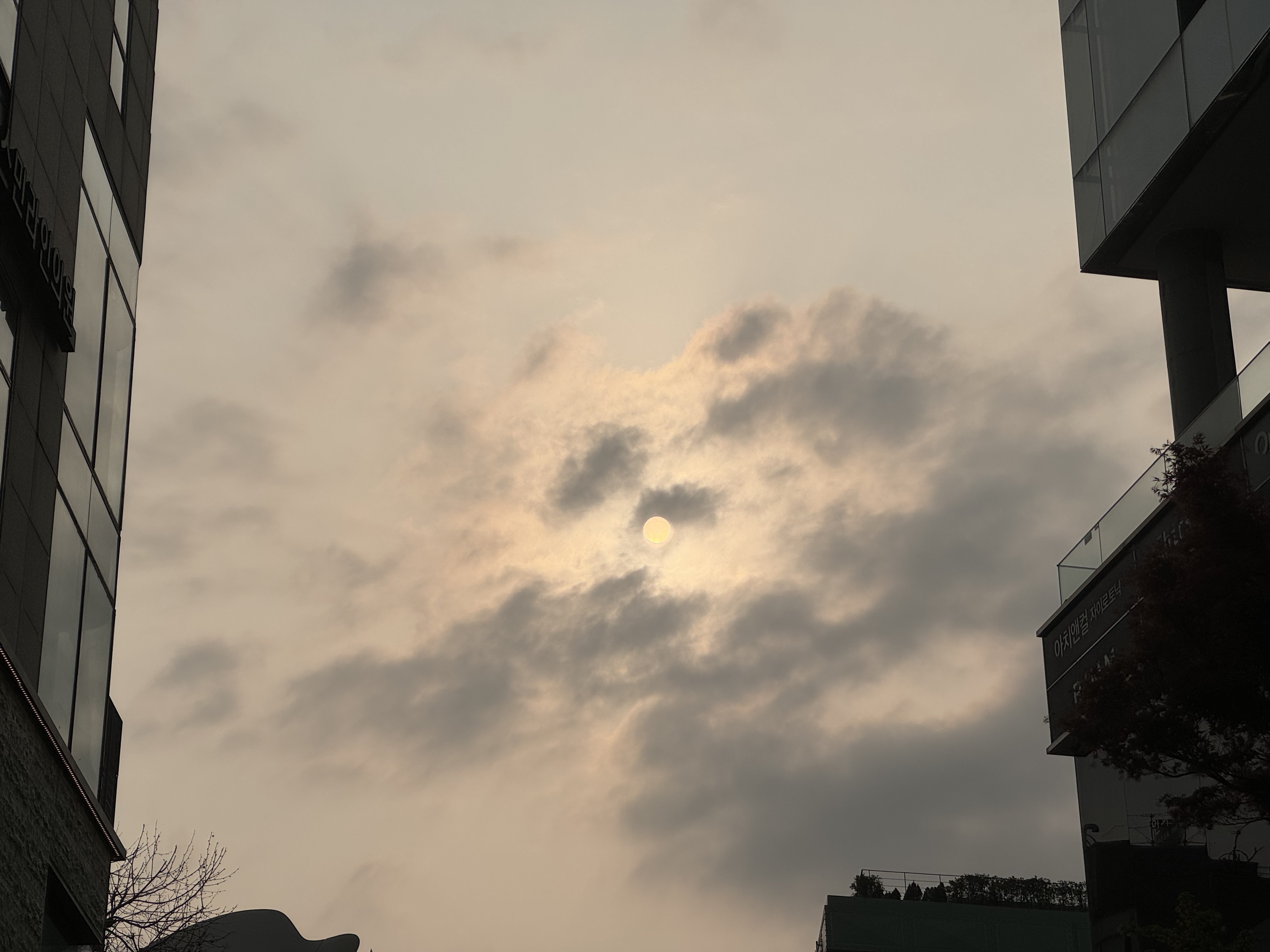 오늘여기서 이미지