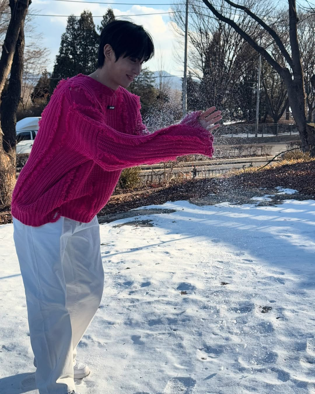 시요 이미지