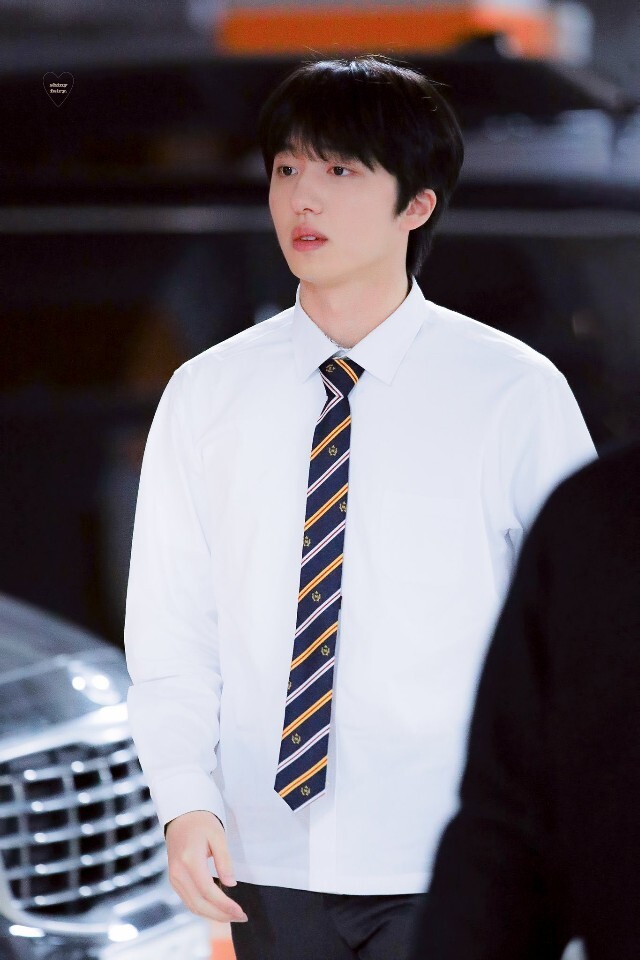 차니차니 이미지