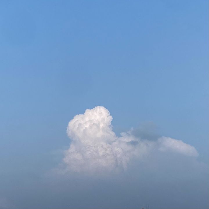 생각나서 이미지