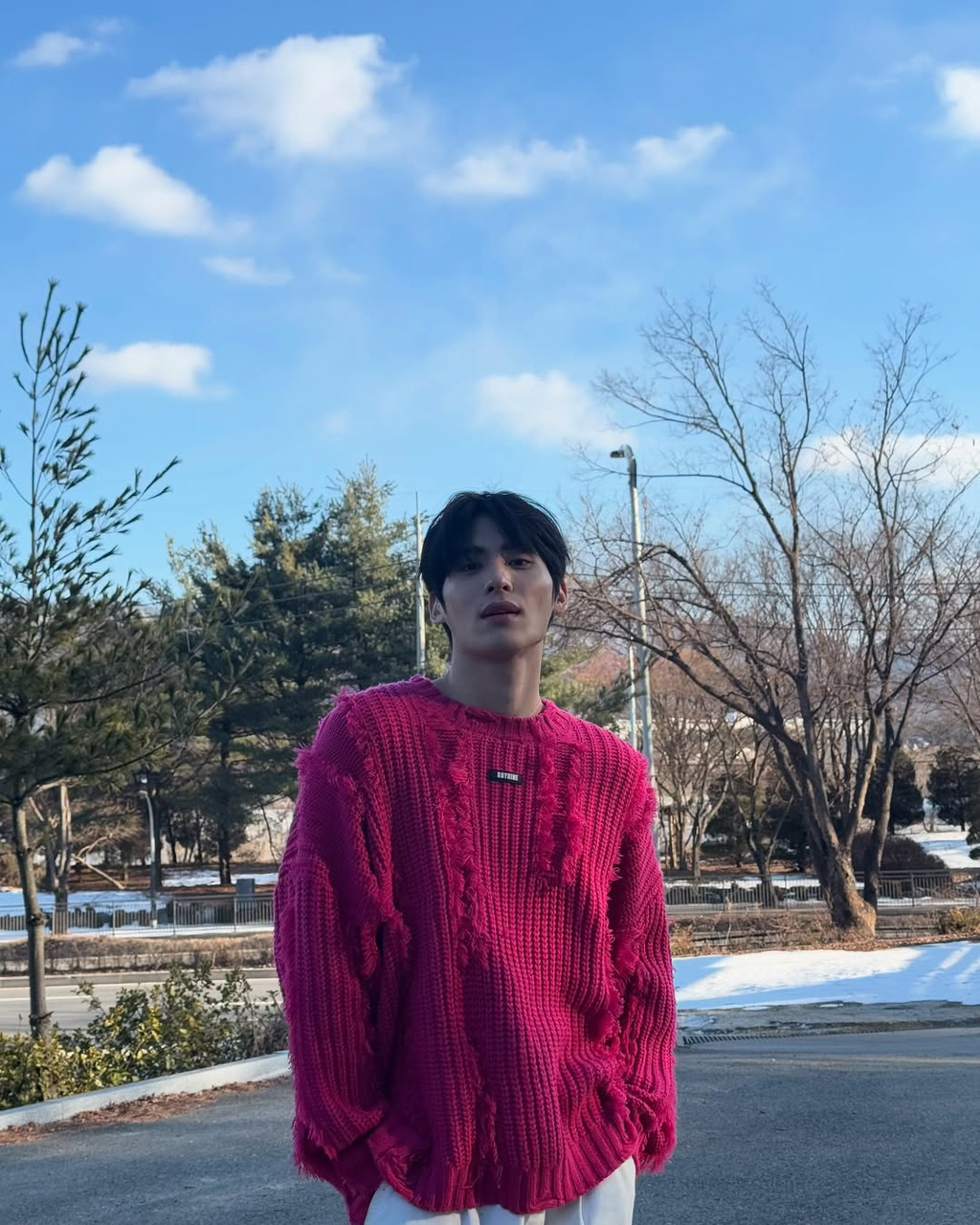 시요 이미지