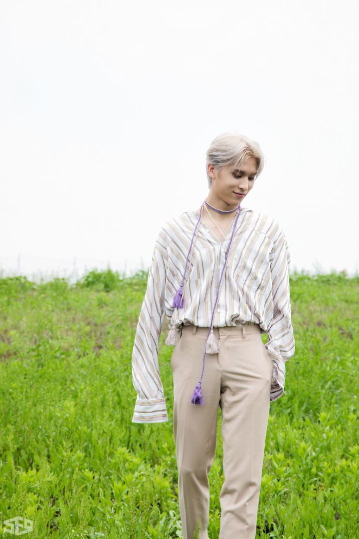 태양세탁소 이미지