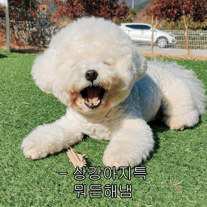인성 이미지