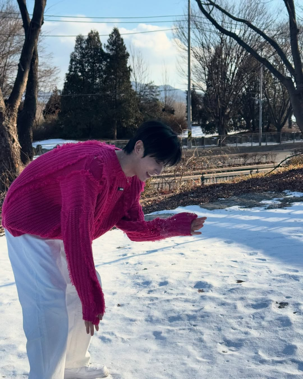 시요 이미지