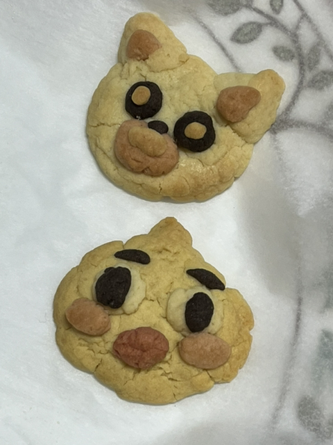 오리당 이미지