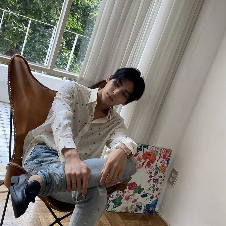 양이네 이미지