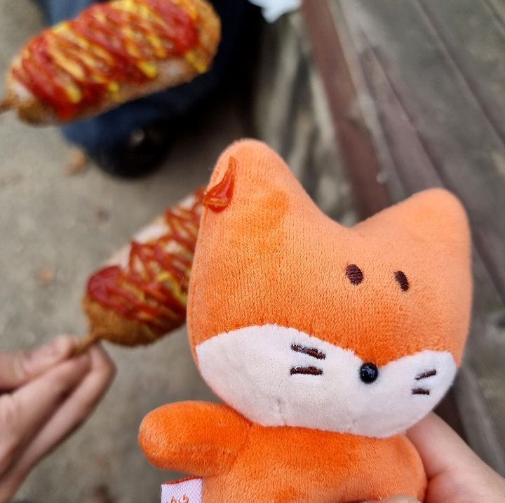 쏭쏭이네 이미지