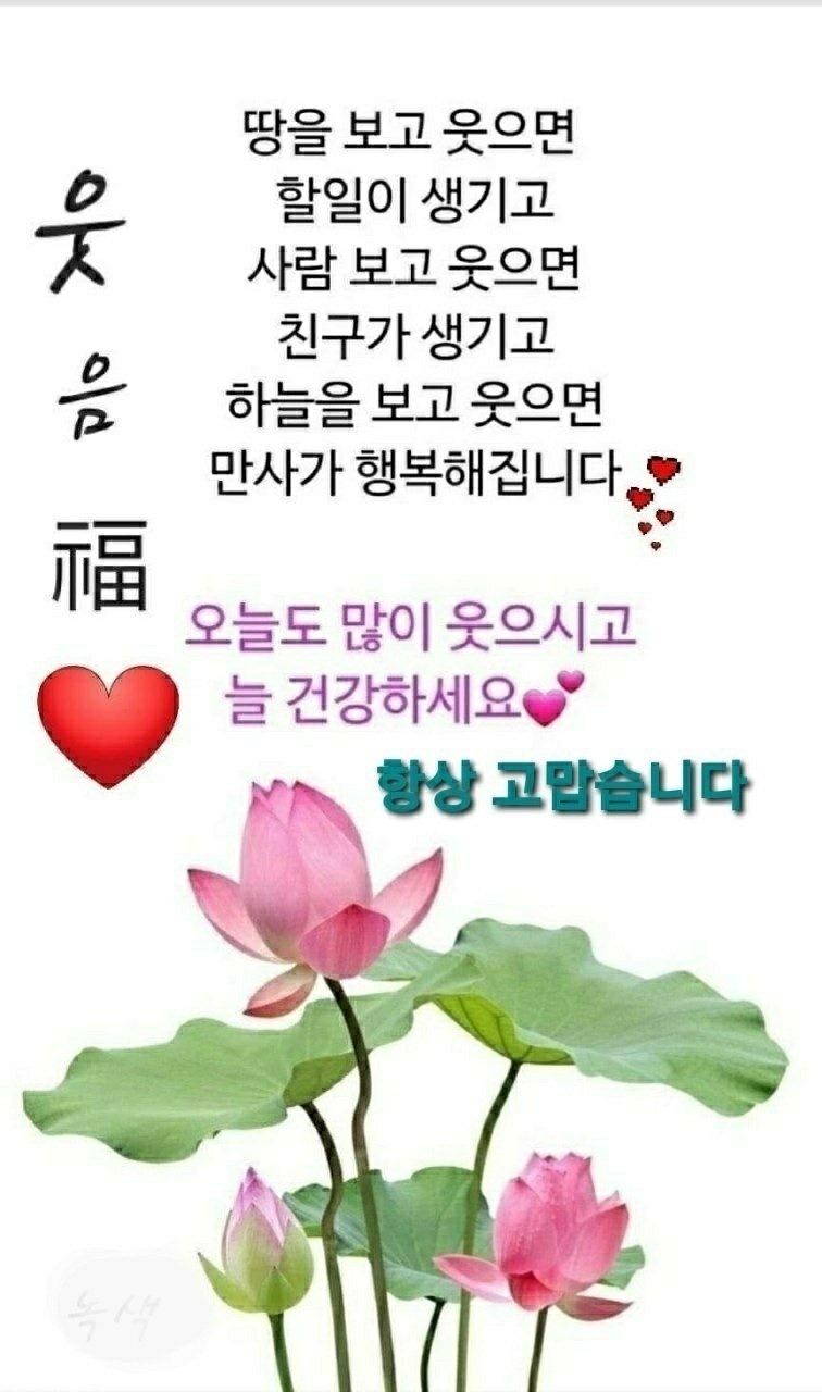 복이 이미지