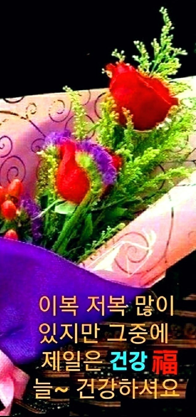 행복한하루 이미지