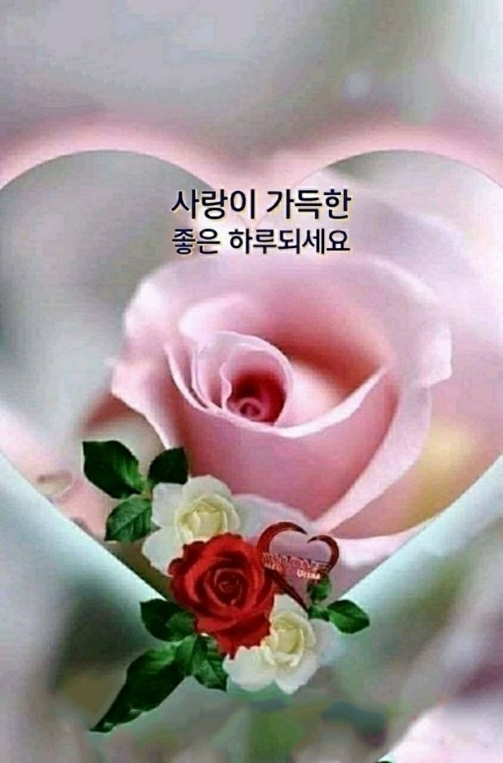 행복한하루 이미지
