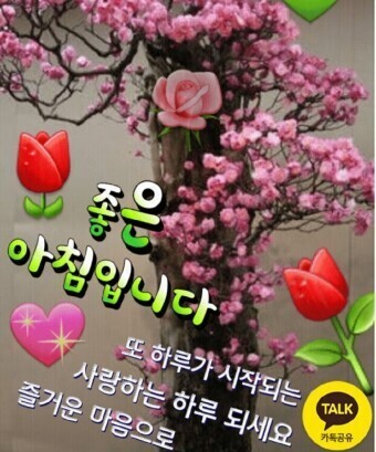 오늘선물 이미지