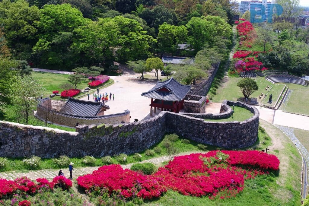 푸릇한 이미지