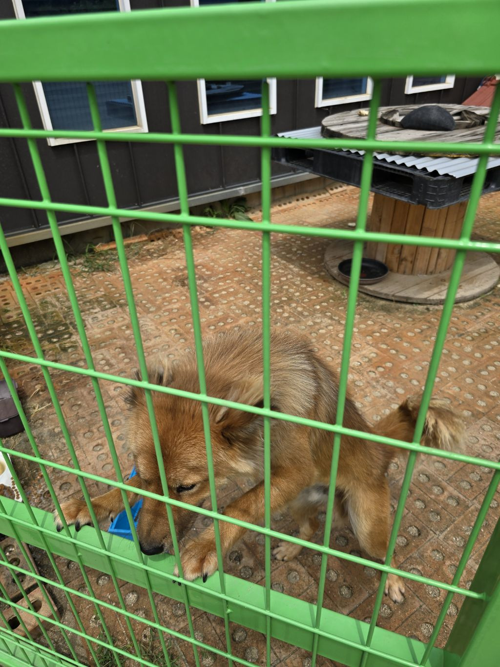 둥지소주방 이미지