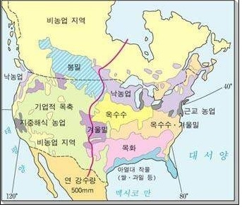 솔밭사이로 이미지