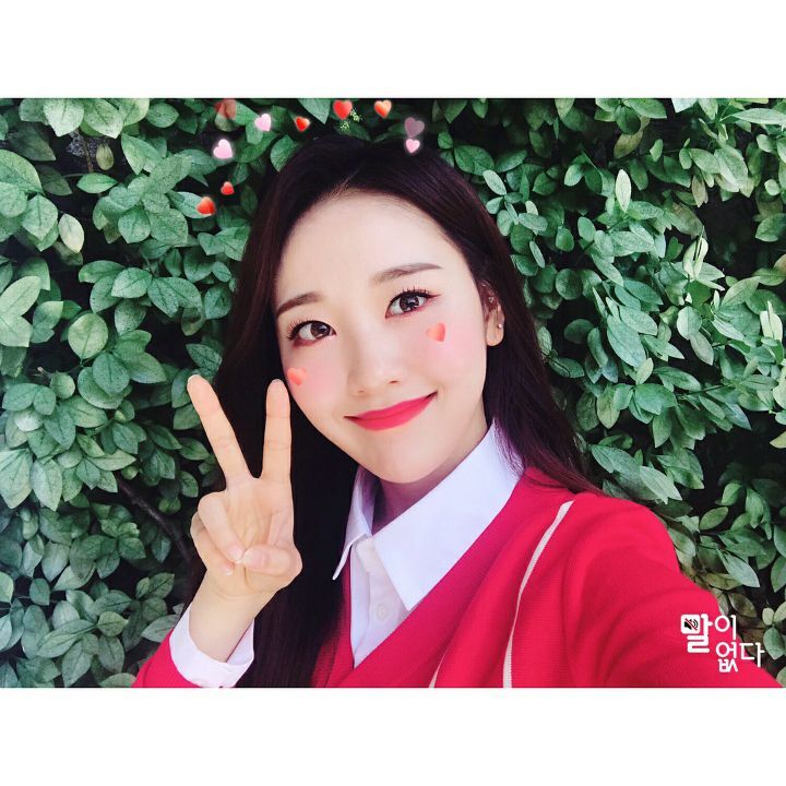 소탐 이미지