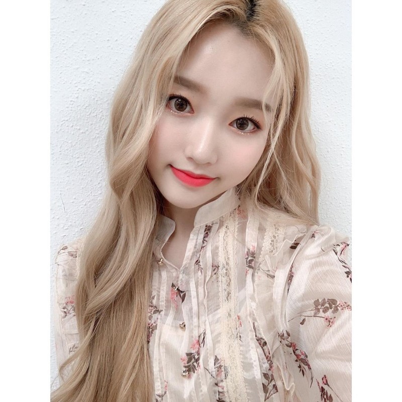 비채원 이미지