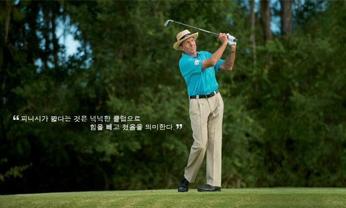 아이언 이미지