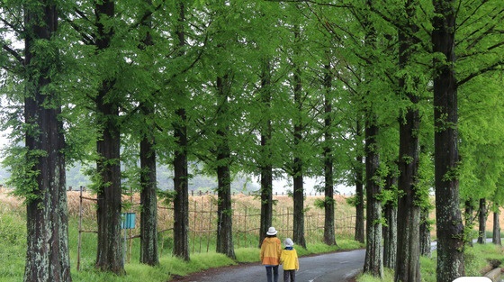 상선고택 이미지