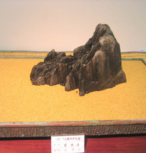 일경 이미지