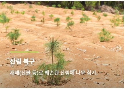 하나맘스 이미지