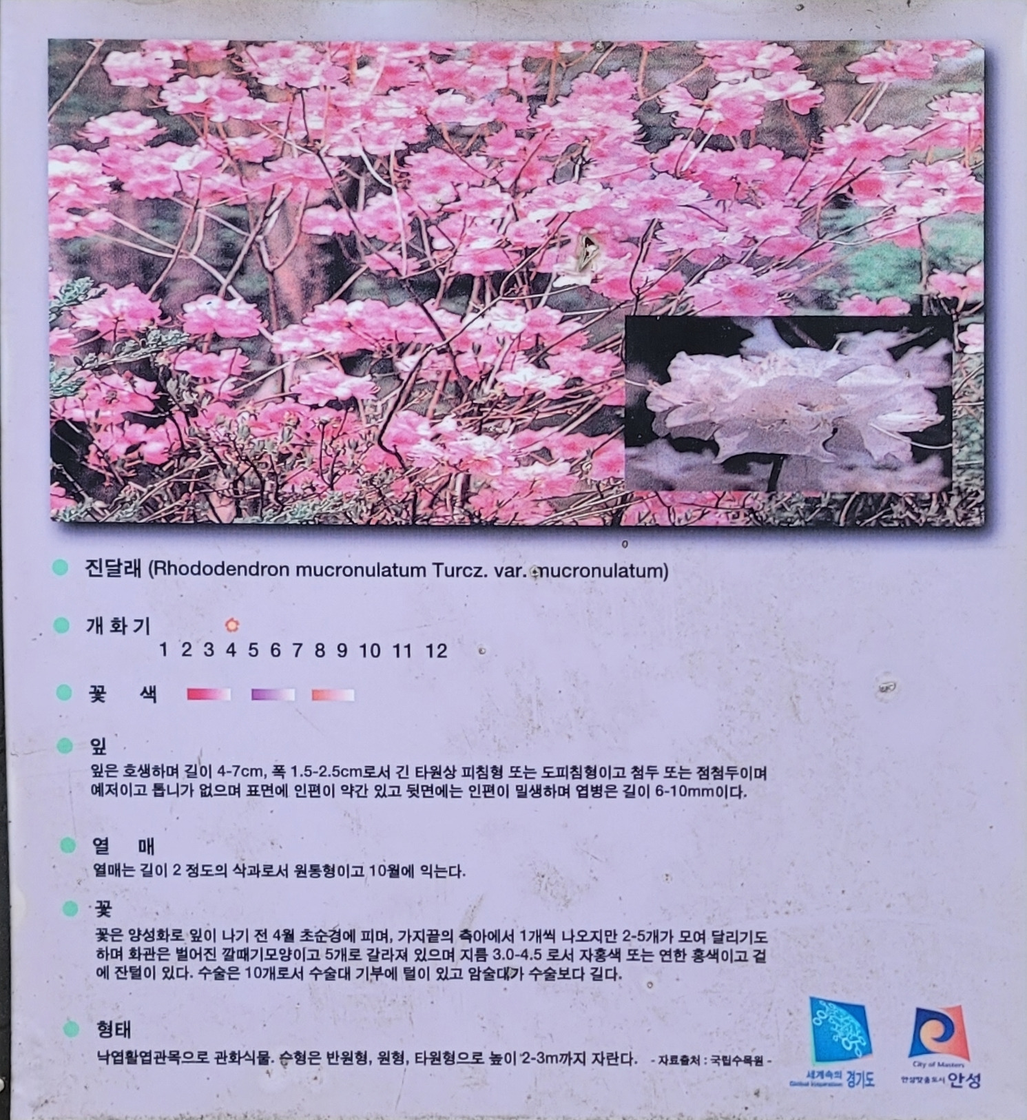 서운산 이미지