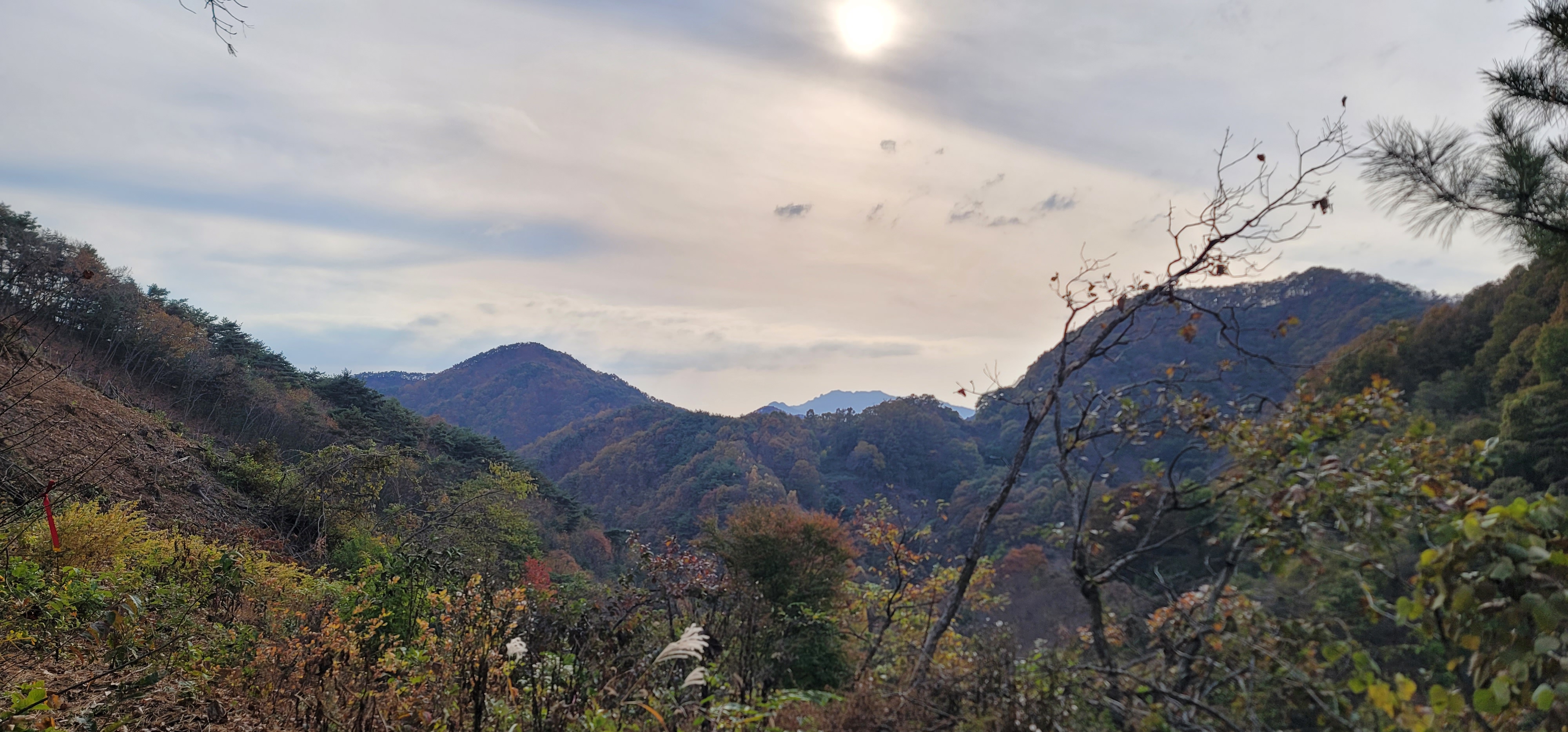 산길 이미지