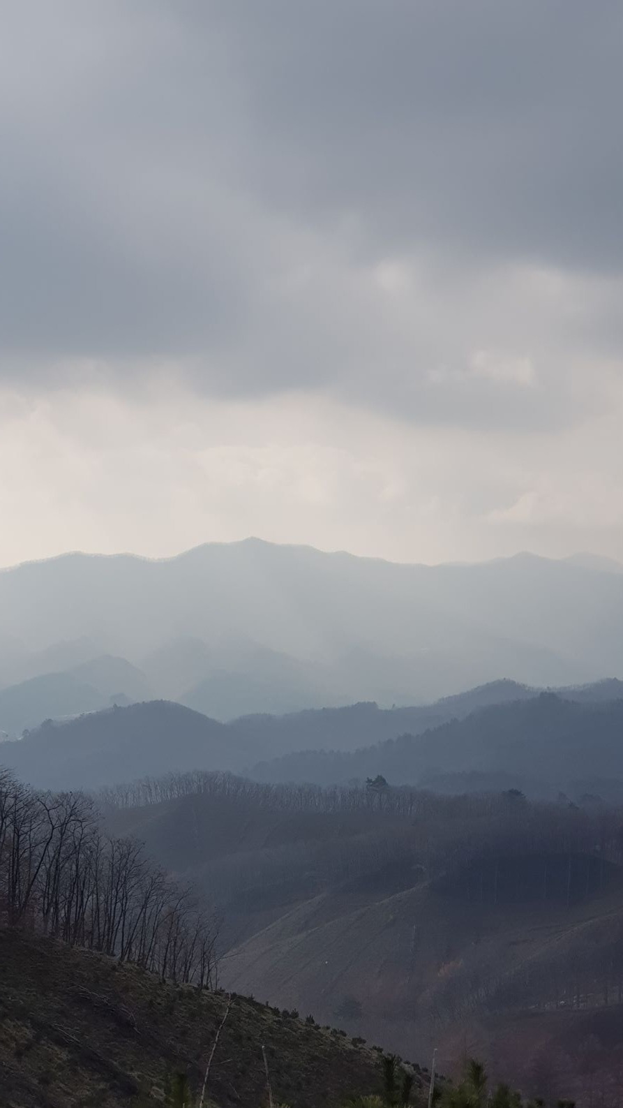 자운 이미지