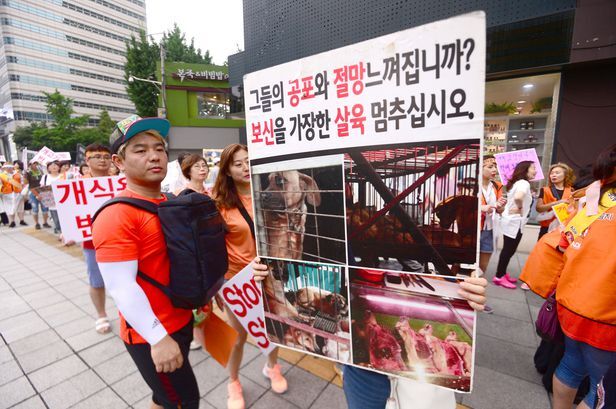 연정 이미지