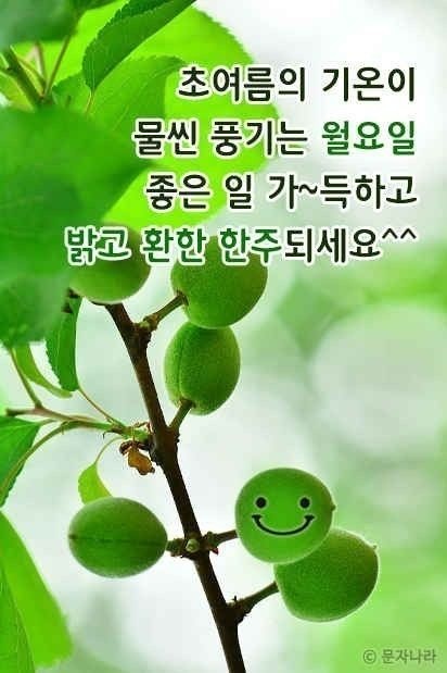 한주로 이미지