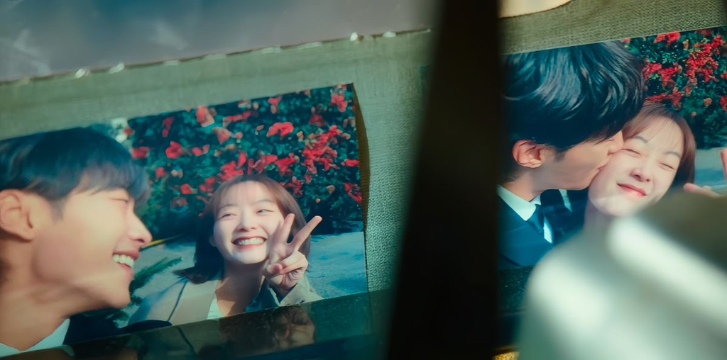 플랑크톤 이미지