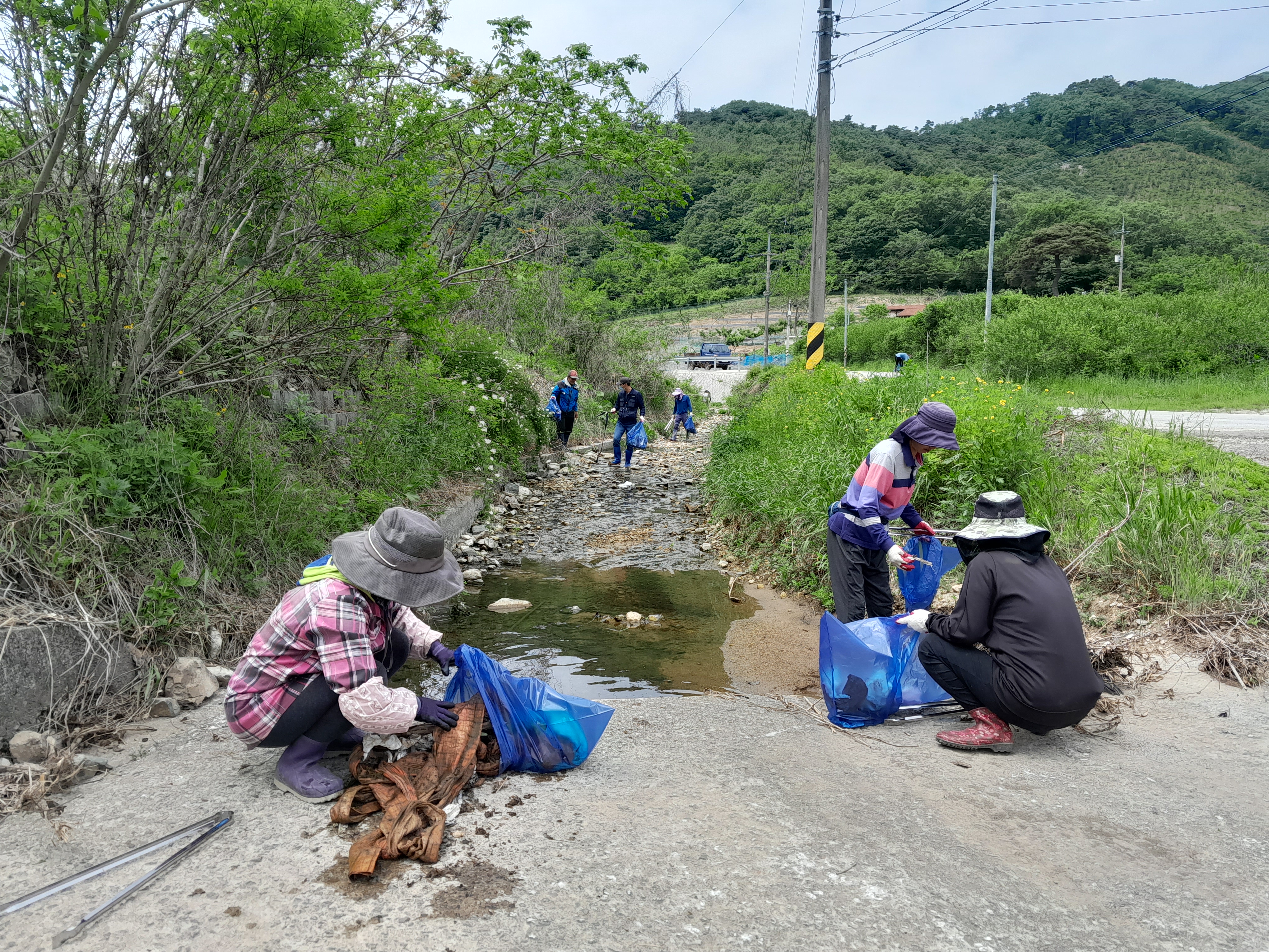 진상골 이미지