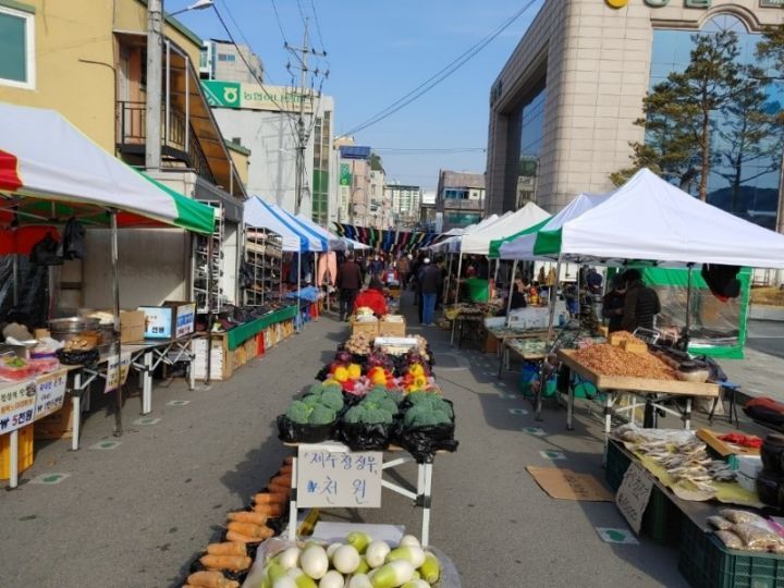 천진초등학교 이미지