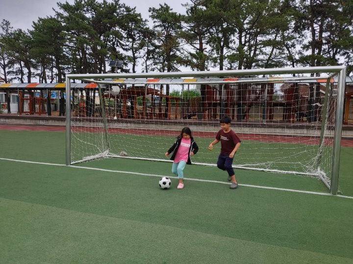 천진초등학교 이미지