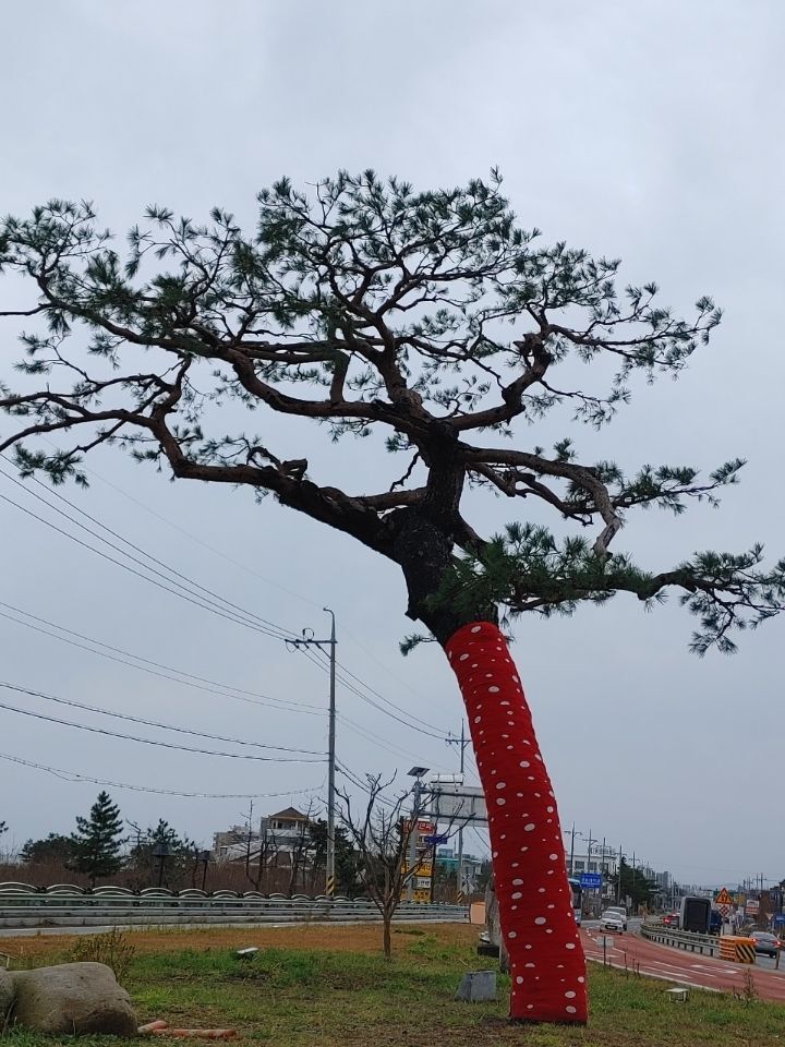 까치칼국수 이미지