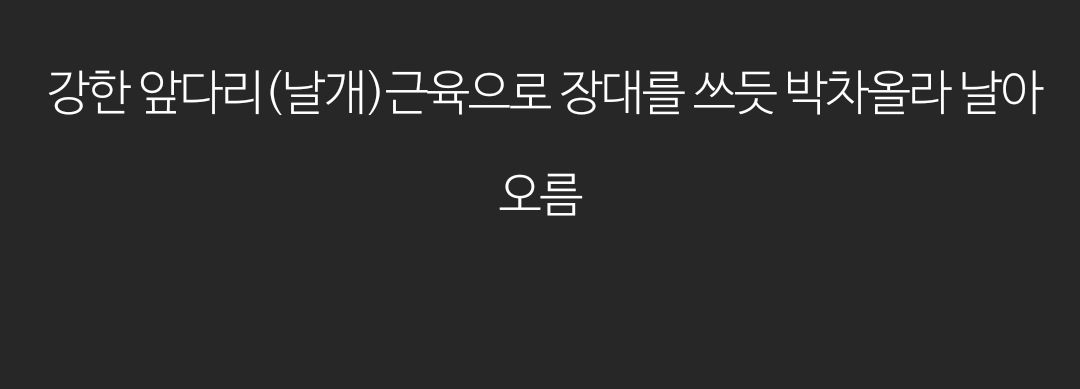 최근 과학자들이 생각하는 거대한 익룡이 나는법 추측.jpgif | 인스티즈