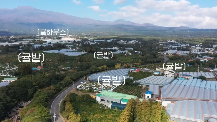 백종원이 맛 순하다고 한 제주 남원 두루치기집 | 인스티즈