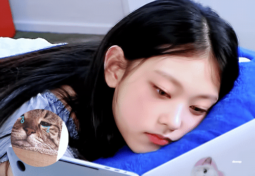본인이 왜 고양이인지 모르는 뉴진스 해린 | 인스티즈