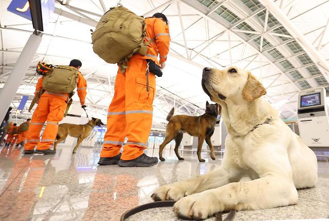 튀르키예 지진 현장 떠나는 수색견 | 인스티즈