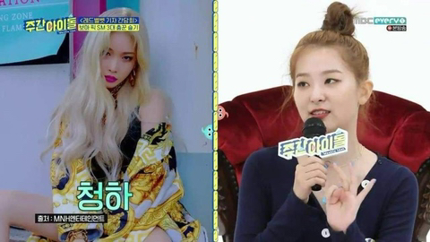 레드벨벳 슬기가 뽑은 여자아이돌 최고의 춤꾼 | 인스티즈