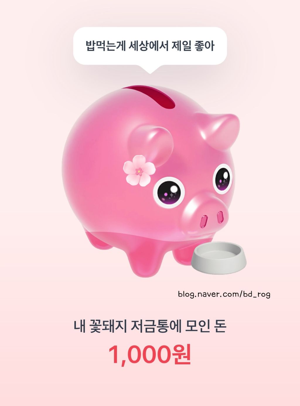 꽃돼지 이미지