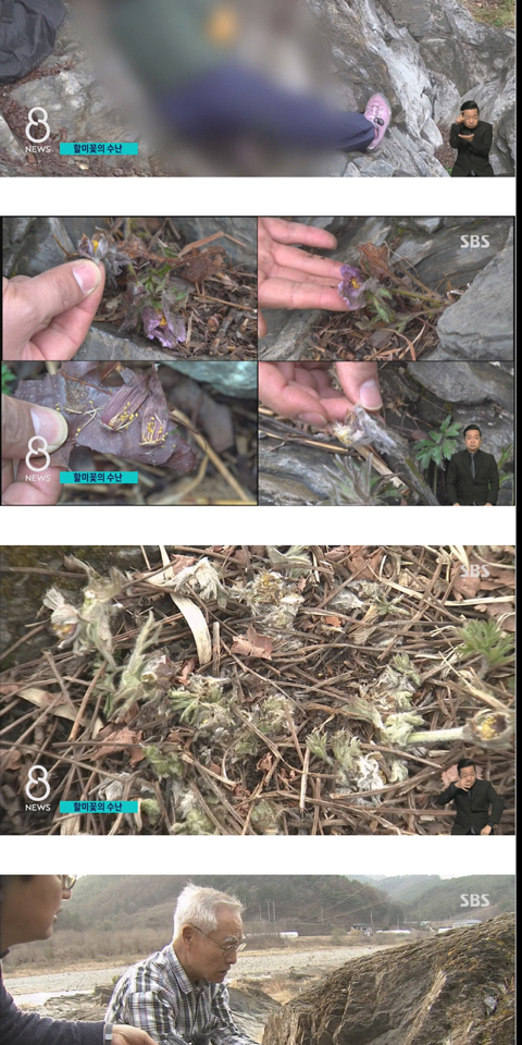 사진작가들이 사진 찍고 피사체를 훼손하는 이유 | 인스티즈