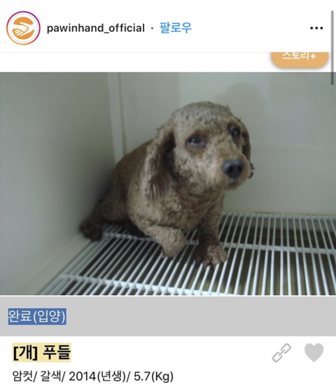 포인핸드 이미지