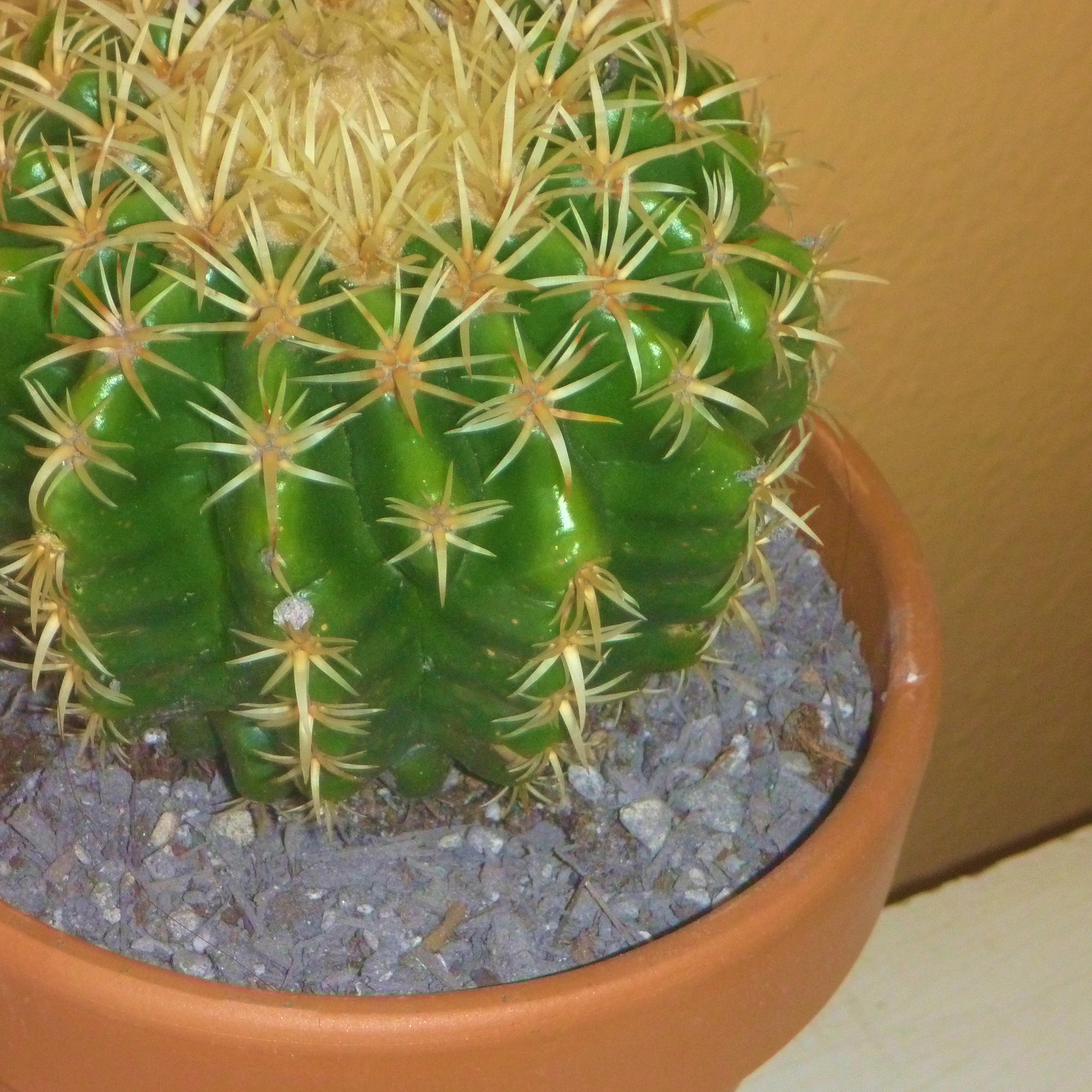 샤이니 태민 The 4th Mini Album 'Guilty' | Mood Clip.twt | 인스티즈